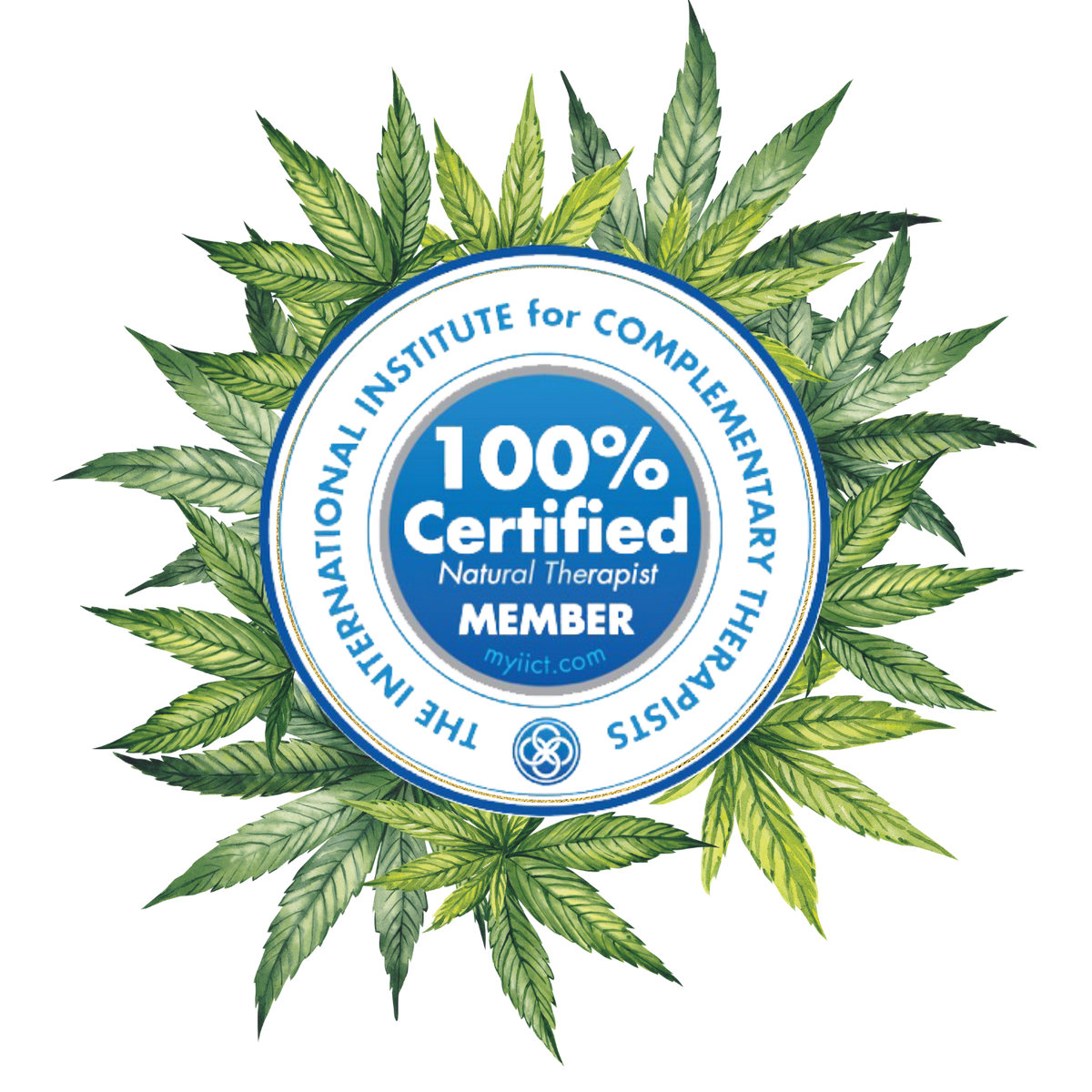 Cannopathy Soothing Canna-Balm 15g